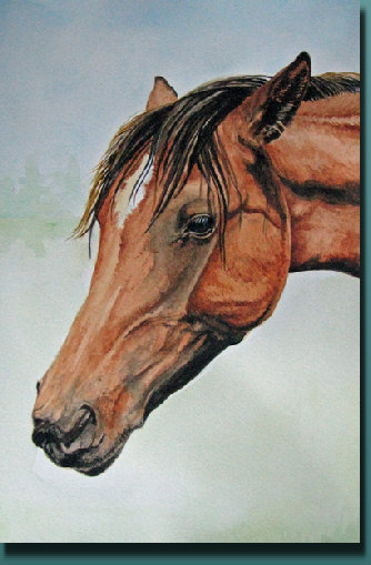 marciasart4046001.jpg
